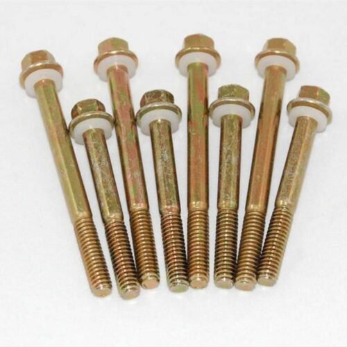 4160 Fuel Bowl Screws (8)