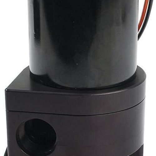 Electric Water Pump Remote Mount Black