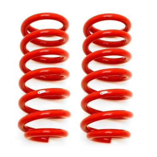 93-02 F-Body Lowering Springs Front 1.25in