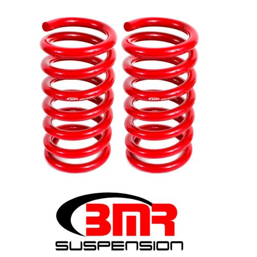 15-20 Mustang Lowering Springs Rear Drag Versin