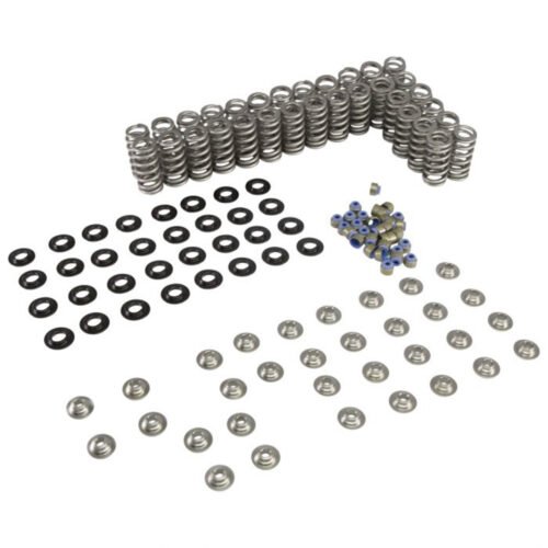 Valve Spring & Retainer Kit – 5.0L Ford Coyote