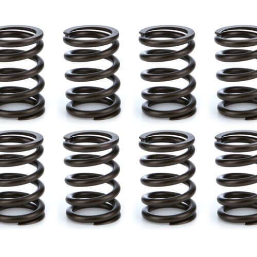 Valve Spring Set