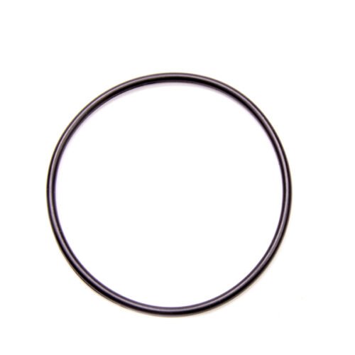 CT1 O-Ring for Seal Plate Flange