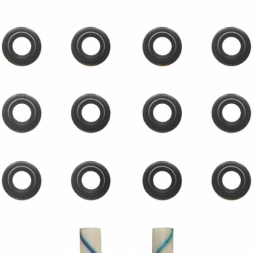 Valve Stem Seal Set