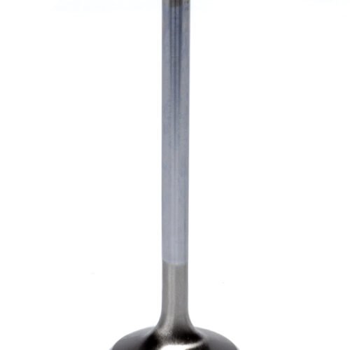 GM LS 1.600 C/6 Exhaust Valve 4.915 OAL