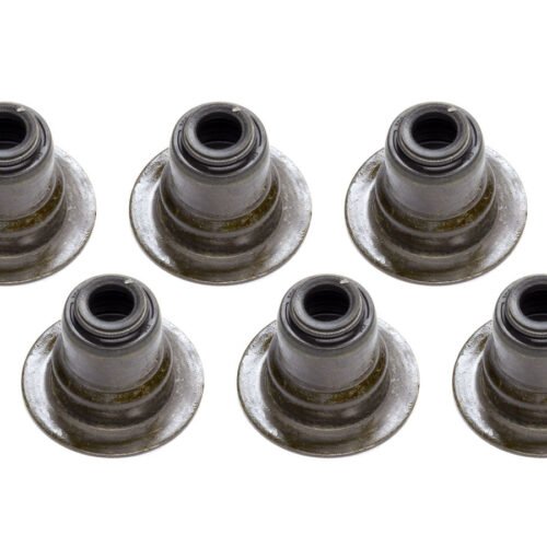 Oil Seal Kit – Intake Valves Stems