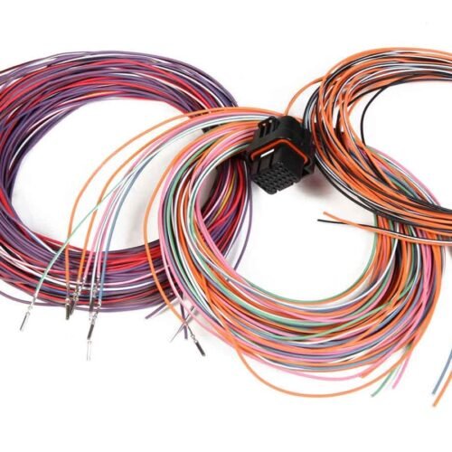 J3 Connector & Harness