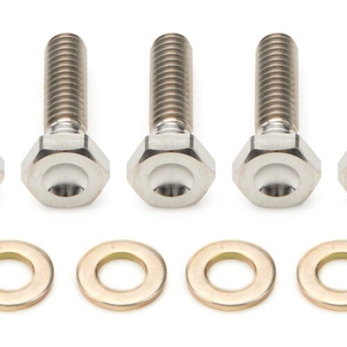 10in Beadlock Bolt Kit Titanium