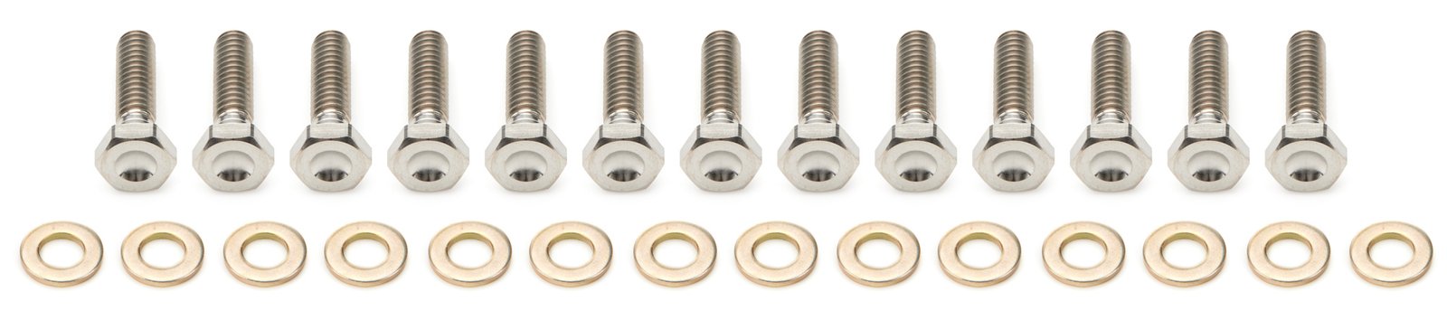 10in Beadlock Bolt Kit Titanium