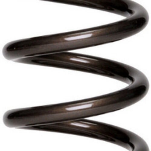 10in Coil Over Spring High Travel