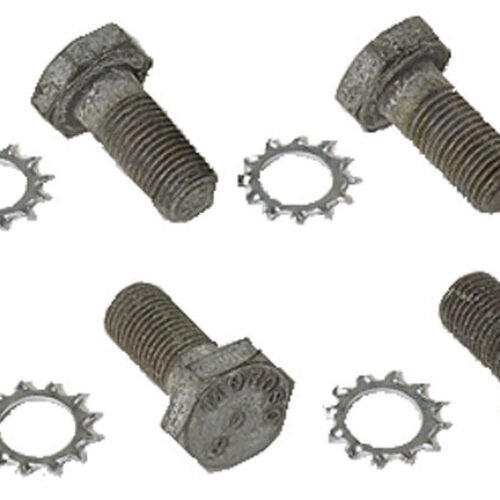 12 Pt Flywheel Bolts