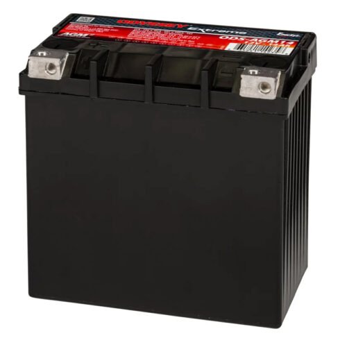 Powersports Battery 12V 220CCA