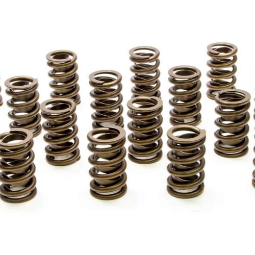 1.244 Single Valve Springs w/Damper (16)