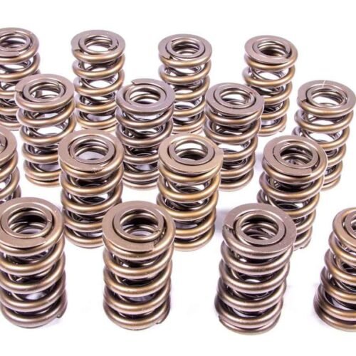 1.244 Dual Valve Springs (16)