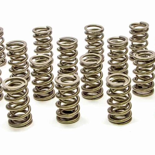 1.304 Dual Valve Springs – RPM Series (16)