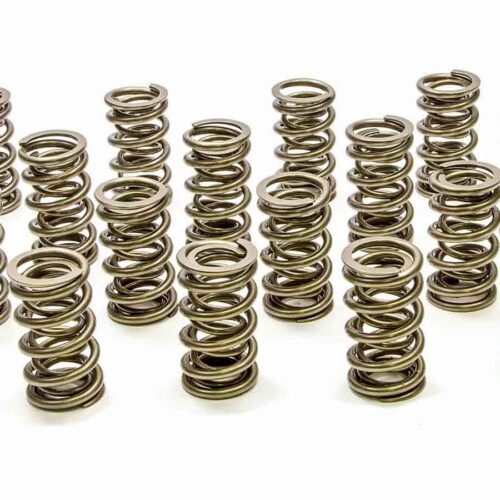 1.324 Dual Valve Springs – RPM Series (16)