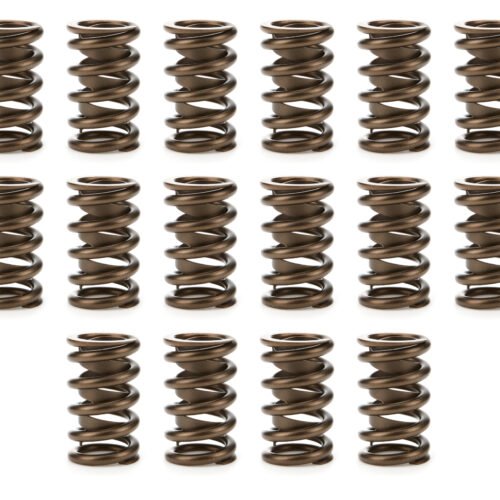 1.260 Valve Springs  w/ Damper – 16