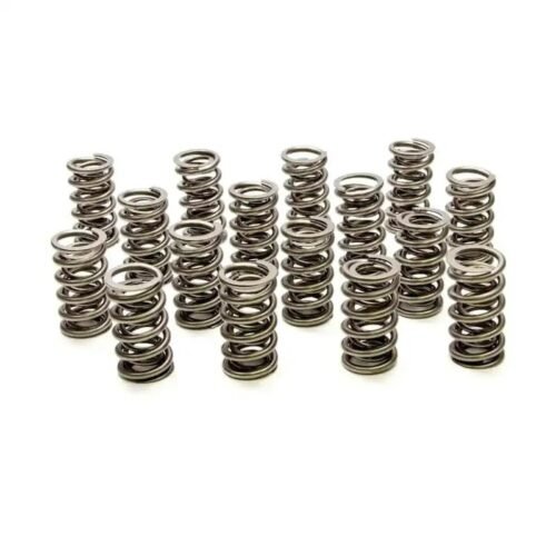 Dual Valve Springs – GM LS (16)