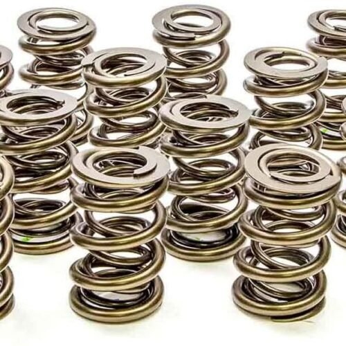 1.550 Dual Valve Springs (16)