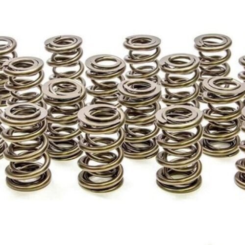 1.625 Dual Valve Springs (16)