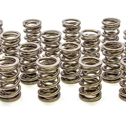 1.550 Dual Valve Springs (16)