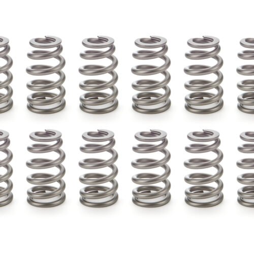 1.290 RPM Series Valve Springs Beehive 16Pk