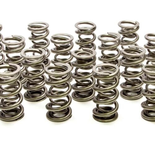 1.500 Dual Valve Springs – (16)