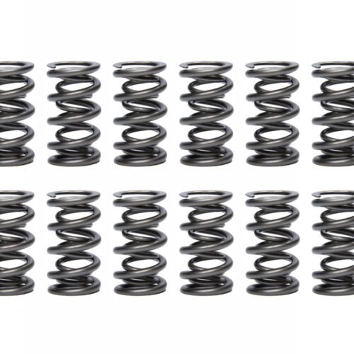 1.500 Dual Valve Springs – (16)