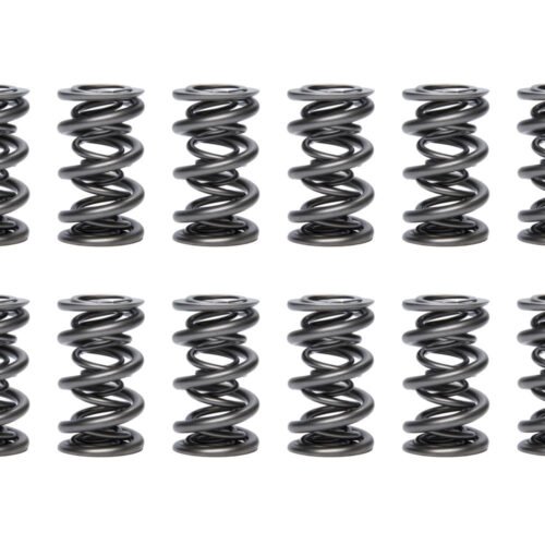 1.681 Triple Valve Springs  (16)