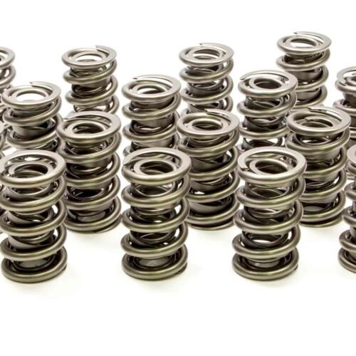 1.564 Dual Valve Springs – (16)