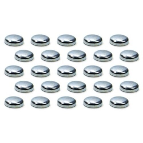 Expansion Plugs – 1in 100pk