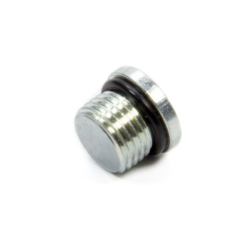 Tank Fitting -6an Plug