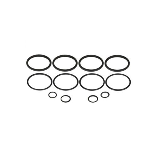 O-Ring Kit – for Early Strange 4-Piston Caliper