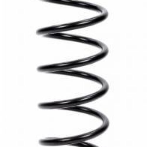 Coilover Spring 12in x 3.0in