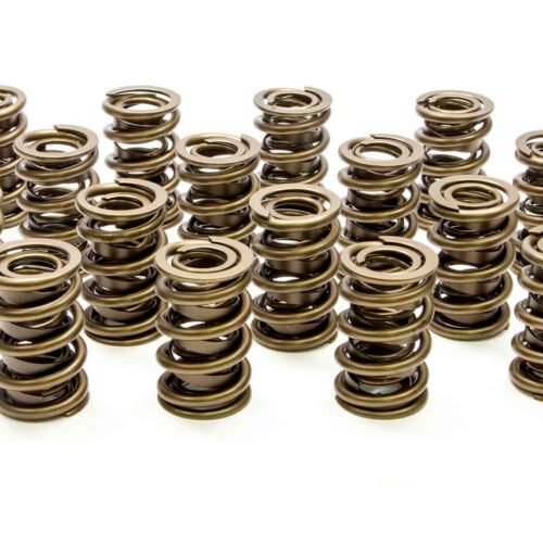 1.550 Dual Valve Springs (16)