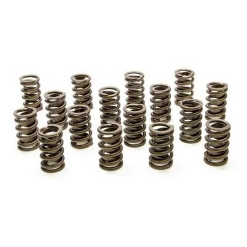 1.550 Dual Valve Springs (16)