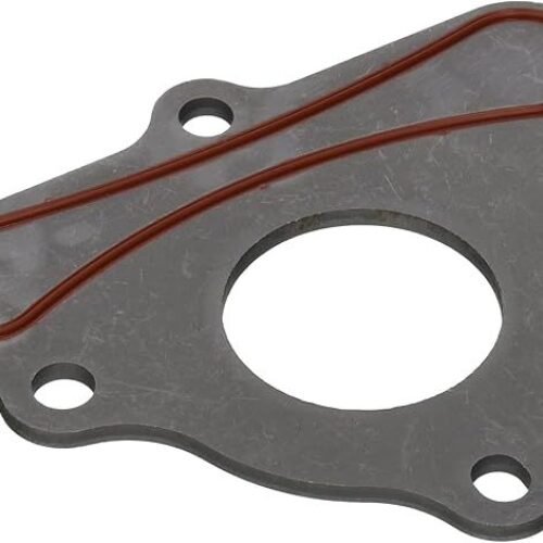 Seal GM LS Cam Plate Retainer 97-08