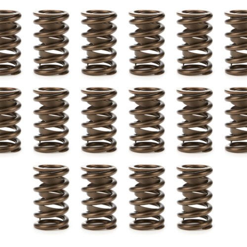1.260 Valve Springs  w/ Damper (16)