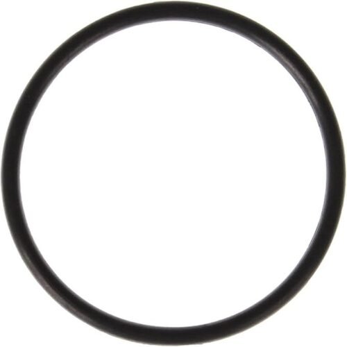 Thermostat Housing O-Ring 11-24 Ford 5.0L