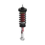 RANRS551836R