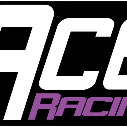 ACE Catalog 2015