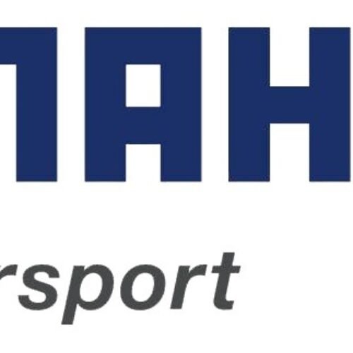 Mahle Piston Catalog 2021