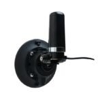 SESSM6171