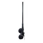 SESSM6174