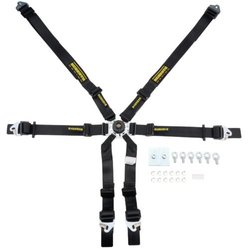 6PT Harness Flexi Black FIA Hans